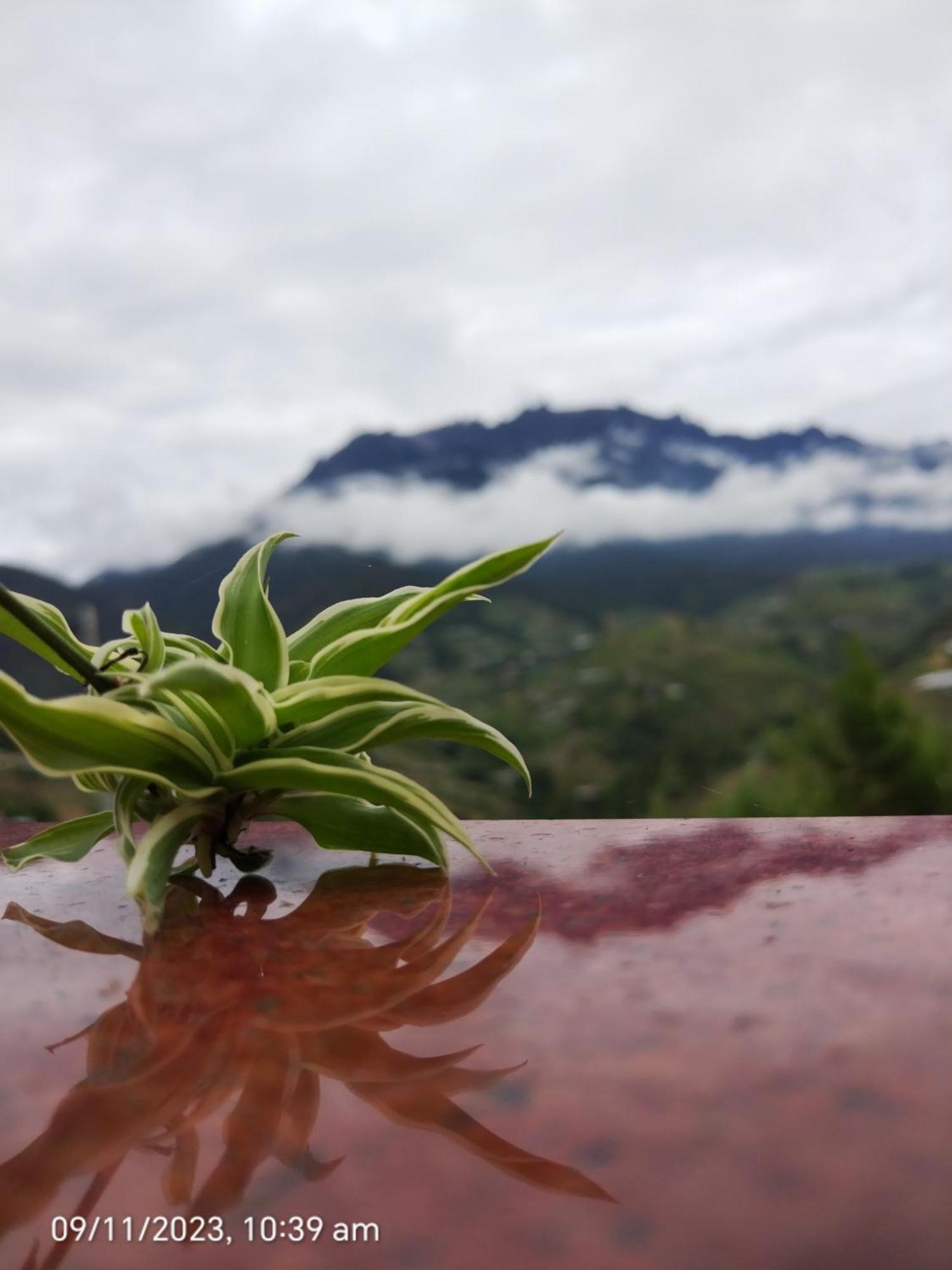 Highland Homestay Kundasang Ranau Zewnętrze zdjęcie